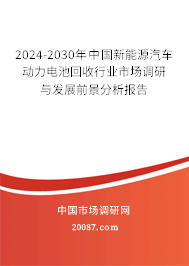 2024-2030年中国新能源汽车动力电池回收行业市场调研与发展前景分析报告