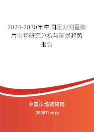 2024-2030年中国压力测量胶片市场研究分析与前景趋势报告