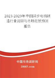 2023-2029年中国异步电机制造行业调研与市场前景预测报告