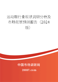 运动鞋行业现状调研分析及市场前景预测报告（2024版）