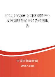 2024-2030年中国整理箱行业发展调研与前景趋势预测报告