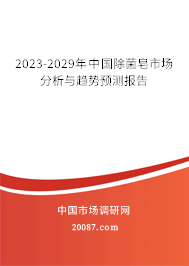 2023-2029年中国除菌皂市场分析与趋势预测报告