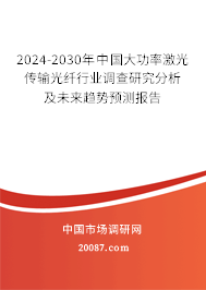 2024-2030年中国大功率激光传输光纤行业调查研究分析及未来趋势预测报告