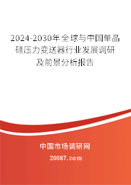 2024-2030年全球与中国单晶硅压力变送器行业发展调研及前景分析报告