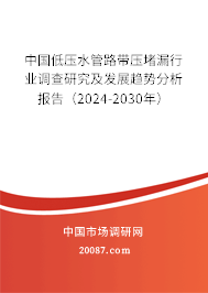 中国低压水管路带压堵漏行业调查研究及发展趋势分析报告（2024-2030年）