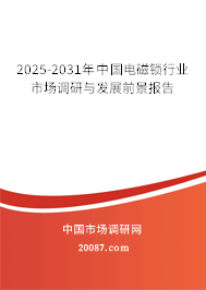 2025-2031年中国电磁锁行业市场调研与发展前景报告 2025-2031年中国电磁锁行业市场调研与发展前景报告