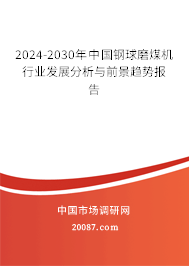 2024-2030年中国钢球磨煤机行业发展分析与前景趋势报告