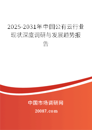 2025-2031年中国公有云行业现状深度调研与发展趋势报告 2025-2031年中国公有云行业现状深度调研与发展趋势报告