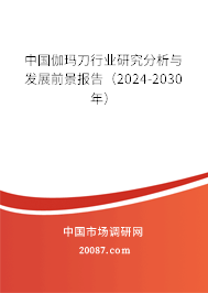 中国伽玛刀行业研究分析与发展前景报告（2024-2030年）