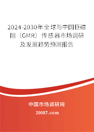 2024-2030年全球与中国巨磁阻（GMR）传感器市场调研及发展趋势预测报告