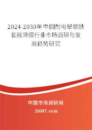 2024-2030年中国耐电晕聚酰亚胺薄膜行业市场调研与发展趋势研究