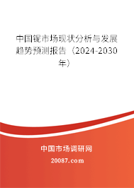 中国铌市场现状分析与发展趋势预测报告（2024-2030年）