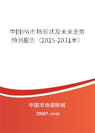 中国PA市场现状及未来走势预测报告(2025-2031年) 中国PA市场现状及未来走势预测报告(2025-2031年)