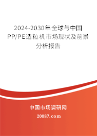 2024-2030年全球与中国PP/PE造粒机市场现状及前景分析报告