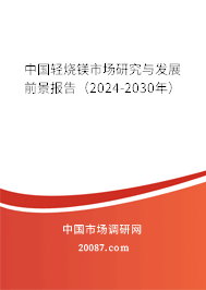 中国轻烧镁市场研究与发展前景报告（2024-2030年）