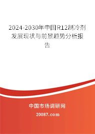 2024-2030年中国R12制冷剂发展现状与前景趋势分析报告