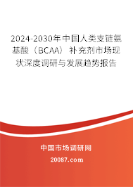 2024-2030年中国人类支链氨基酸（BCAA）补充剂市场现状深度调研与发展趋势报告