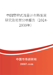 中国容积式流量计市场发展研究及前景分析报告（2024-2030年）