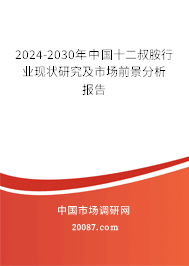 2024-2030年中国十二叔胺行业现状研究及市场前景分析报告