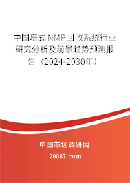 中国塔式NMP回收系统行业研究分析及前景趋势预测报告（2024-2030年）