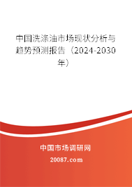 中国洗涤油市场现状分析与趋势预测报告（2024-2030年）