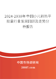 2024-2030年中国小儿肺热平胶囊行业发展回顾及走势分析报告