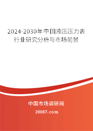 2024-2030年中国液压压力表行业研究分析与市场前景