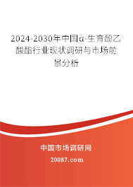 2024-2030年中国α-生育酚乙酸酯行业现状调研与市场前景分析