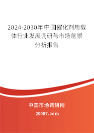 2024-2030年中国催化剂用载体行业发展调研与市场前景分析报告