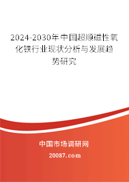 2024-2030年中国超顺磁性氧化铁行业现状分析与发展趋势研究