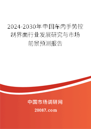 2024-2030年中国车内手势控制界面行业发展研究与市场前景预测报告