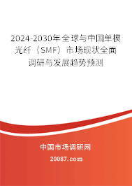 2024-2030年全球与中国单模光纤（SMF）市场现状全面调研与发展趋势预测