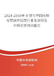 2024-2030年全球与中国电解电容器用铝箔行业发展研及市场前景预测报告