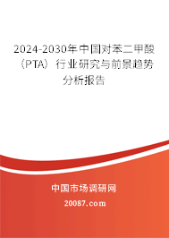 2024-2030年中国对苯二甲酸（PTA）行业研究与前景趋势分析报告