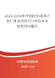 2024-2030年中国对硝基苯乙酸行业发展研究分析及未来趋势预测报告