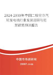 2024-2030年中国二极空冷汽轮发电机行业发展调研与前景趋势预测报告