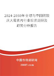 2024-2030年全球与中国硫酸庆大霉素片行业现状调研及趋势分析报告