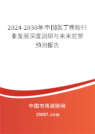 2024-2030年中国氯丁橡胶行业发展深度调研与未来前景预测报告