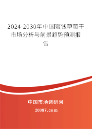 2024-2030年中国蜜饯草莓干市场分析与前景趋势预测报告