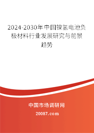 2024-2030年中国镍氢电池负极材料行业发展研究与前景趋势