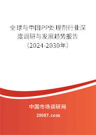 全球与中国PP处理剂行业深度调研与发展趋势报告（2024-2030年）