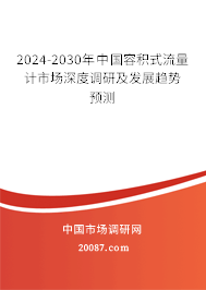 2024-2030年中国容积式流量计市场深度调研及发展趋势预测