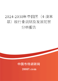 2024-2030年中国三（4-溴苯基）胺行业调研及发展前景分析报告