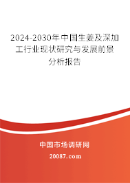 2024-2030年中国生姜及深加工行业现状研究与发展前景分析报告