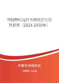 中国塑料光纤市场研究与前景趋势（2024-2030年）