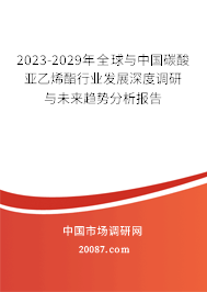 2023-2029年全球与中国碳酸亚乙烯酯行业发展深度调研与未来趋势分析报告