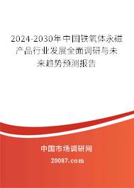 2024-2030年中国铁氧体永磁产品行业发展全面调研与未来趋势预测报告