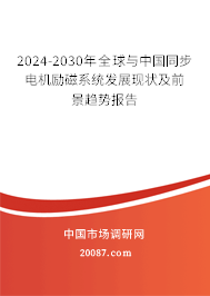 2024-2030年全球与中国同步电机励磁系统发展现状及前景趋势报告