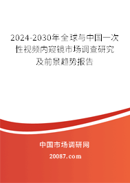 2024-2030年全球与中国一次性视频内窥镜市场调查研究及前景趋势报告