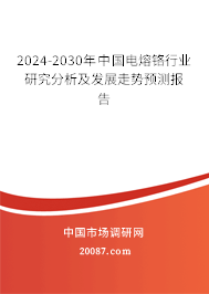 2024-2030年中国电熔铬行业研究分析及发展走势预测报告